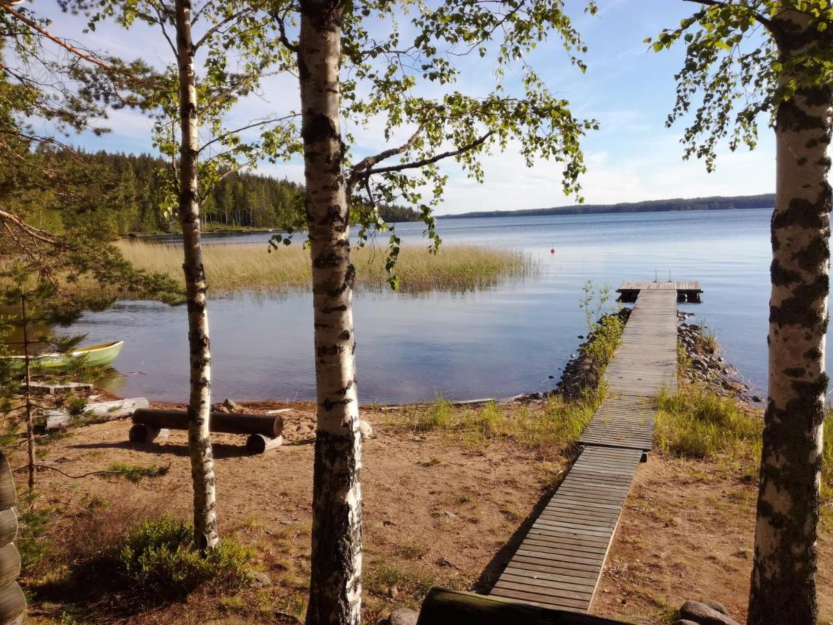 Nestorin Maja Villa Puumala Bagian luar foto